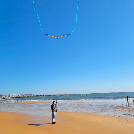 Grote Stranddeltavlieger Voor Volwassenen En Kinderen, Gemakkelijk Te Vliegen Voor Beginners Ideaal Voor Buitenactiviteiten 2