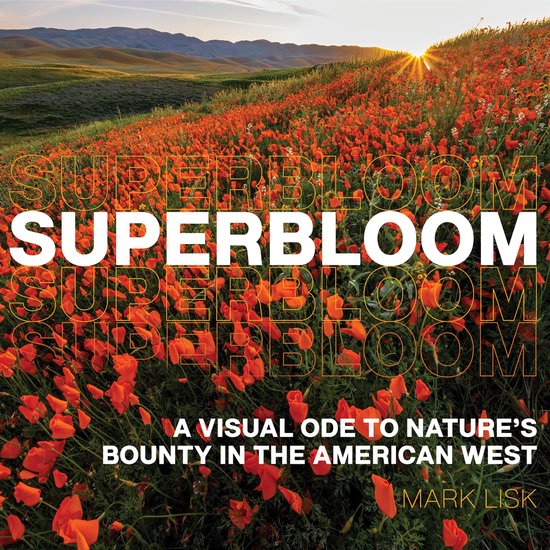 Superbloom - cover