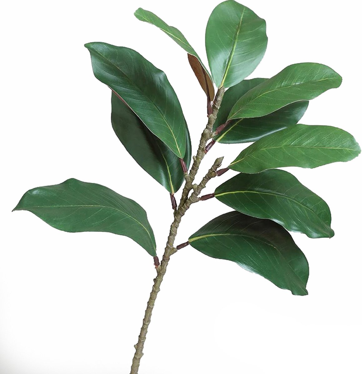Steelbloem / kunstbloem magnolia blad 50 cm herfst -groen
