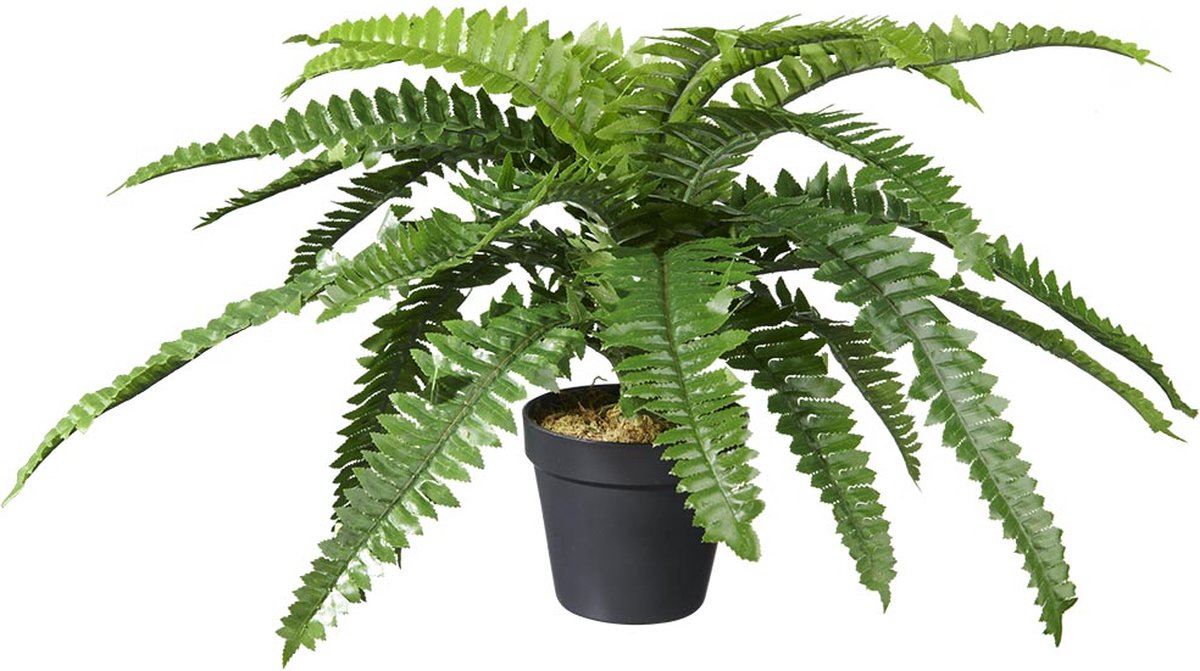 Kunstplant Nephrolepis/Varen H35cm - HTT Decorations kunstplanten
