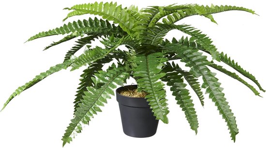Kunstplant Nephrolepis/Varen H35cm - HTT Decorations kunstplanten