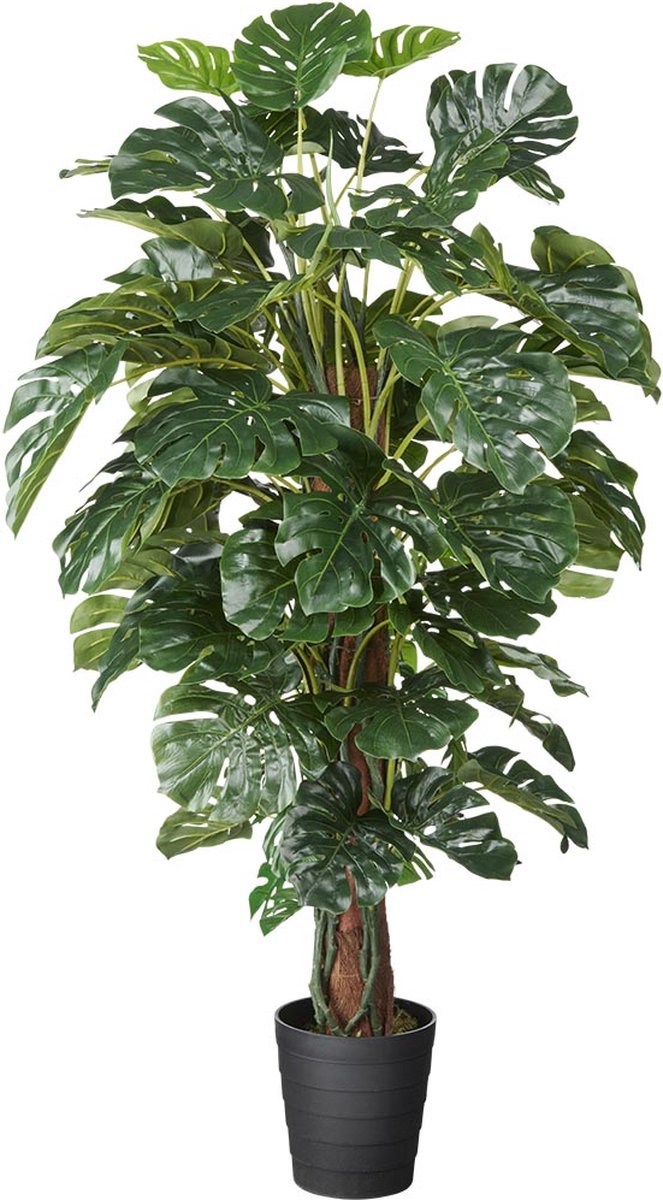 HTT Decorations Kunstplant Monstera XL H150cm - HTT Decorations kunstplanten Groen
