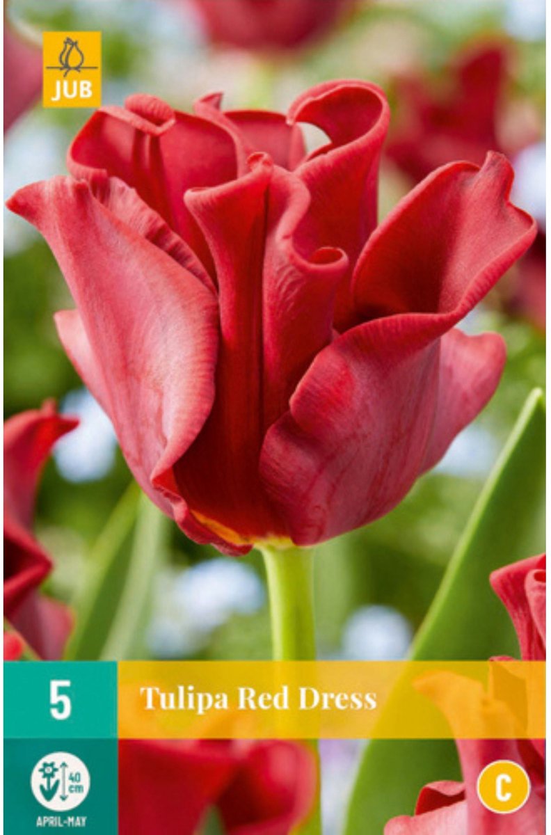 JUB - Tulipa red dress
