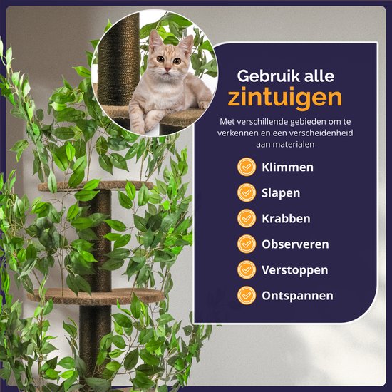 Kattenboom met groene bladeren. Een kat ligt op een plateau. Tekst over gebruik van zintuigen.