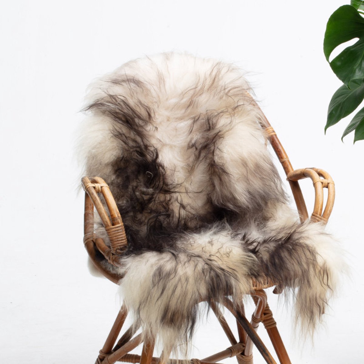 SHEEPY® | Schapenvacht | Mads (Zwart Wit) L (105-110cm) - Sheepy.cc