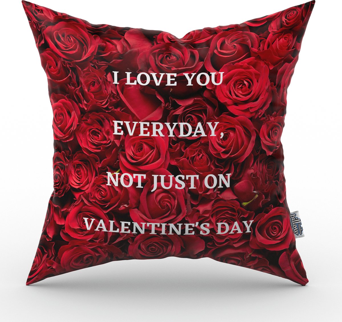 Valentijn kussen I love you everyday, not just on valentine's day - 30 cm
