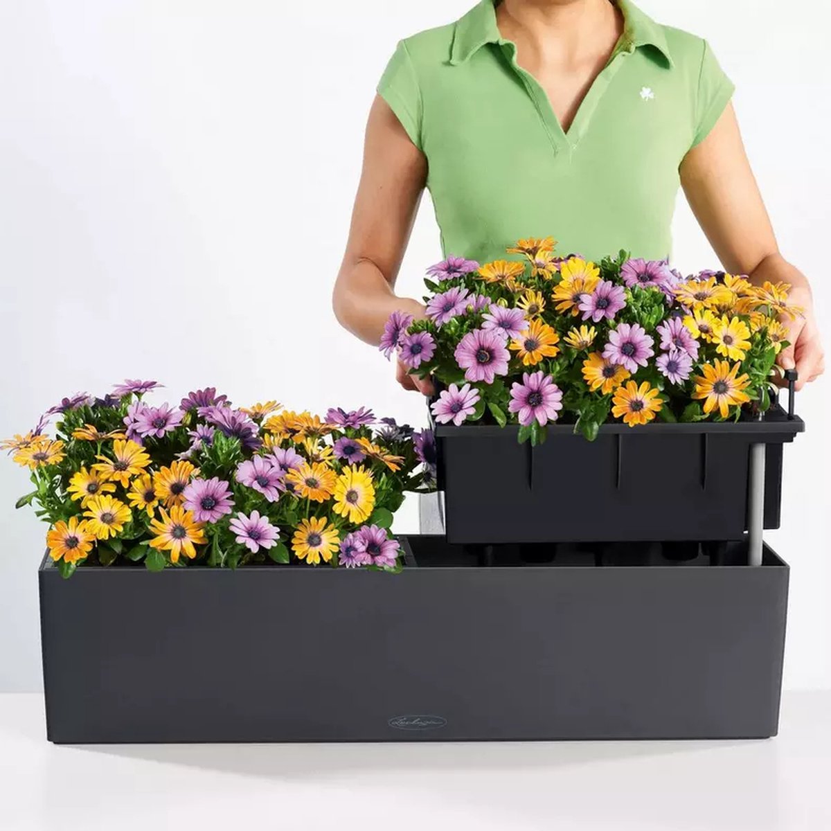 Lechuza Balconera Color 80 - Jardinière - avec pot intérieur amovible