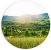 Herbe - Nature - Arbres