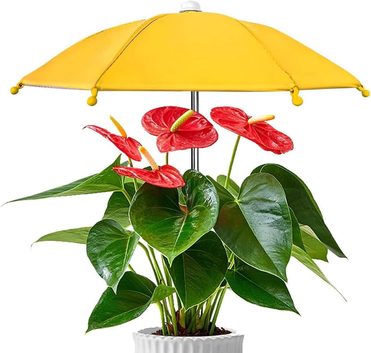 Plantenparaplu Buiten - Beschermhoes Planten - Bescherming Tegen Zon - Verstelbare UV-Bescherming - 27 cm - Zwart