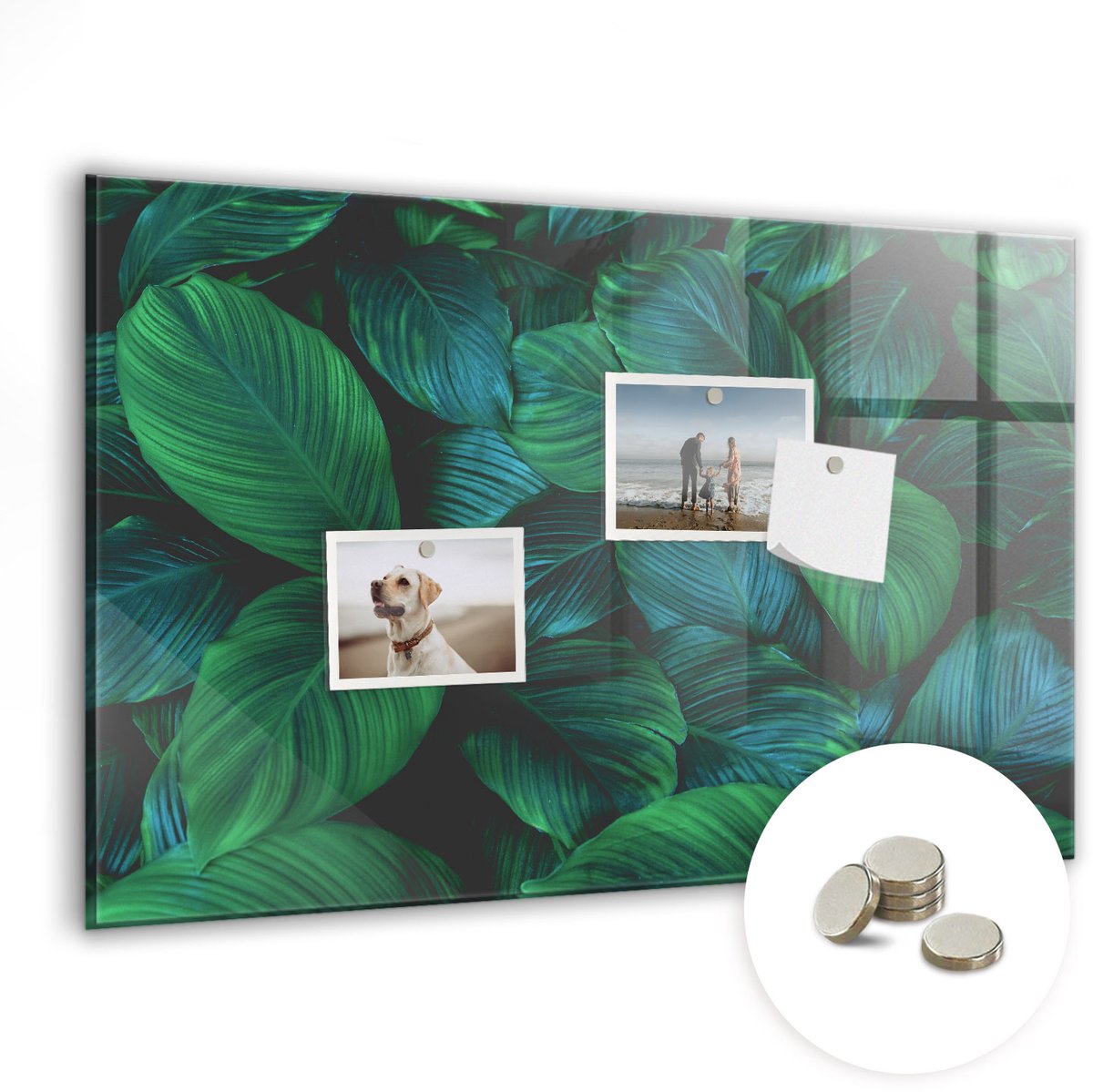 Coloray Glazen Magneetbord - Magnetisch Bord Natuur laat achter - 60x40 cm - Groente Magneetbord - Magnetic Board - Woonkamer Decoratie