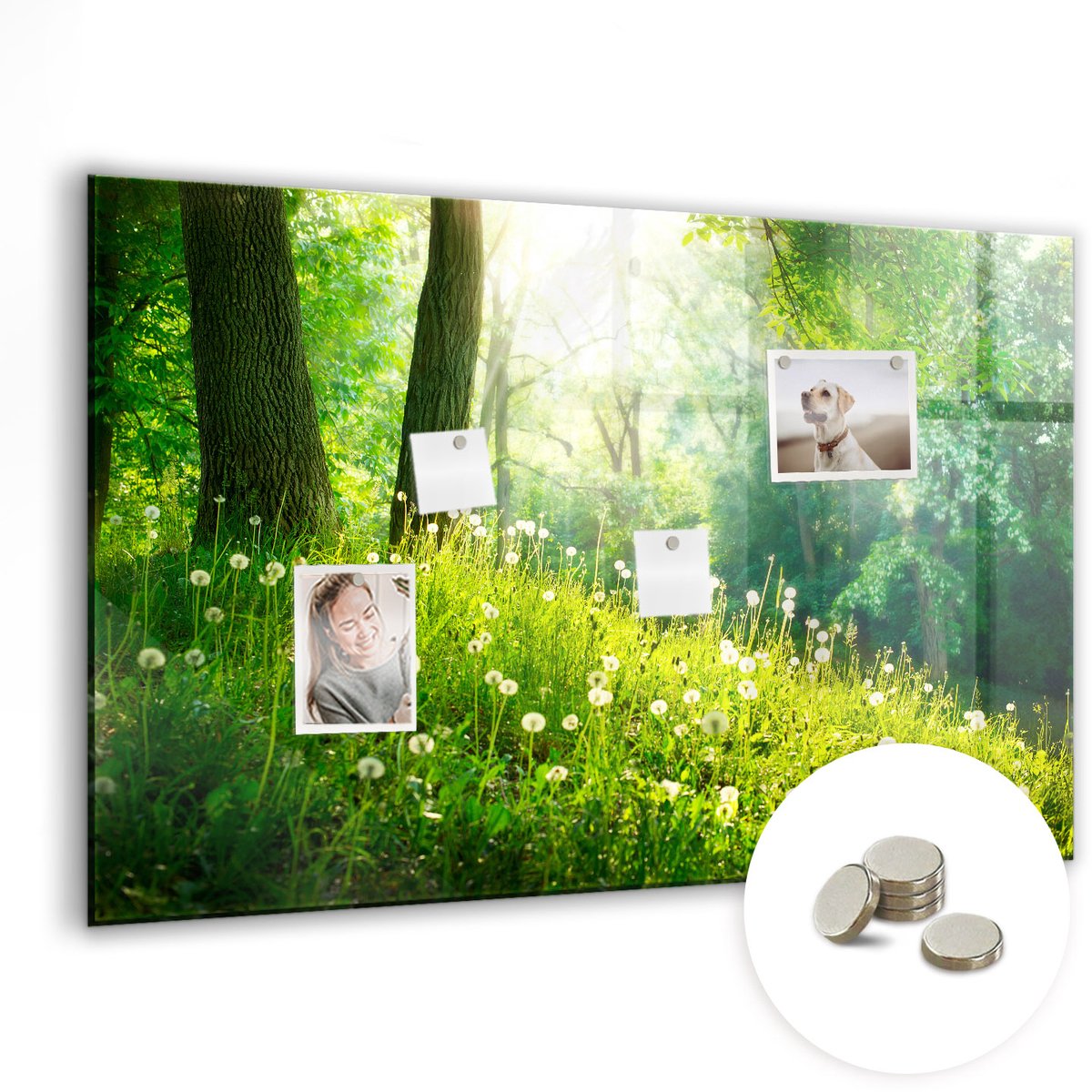 Coloray Glazen Magneetbord - Magnetisch Bord Houten planken - 90x60 cm - Groente Magneetbord - Magnetic Board - Woonkamer Decoratie