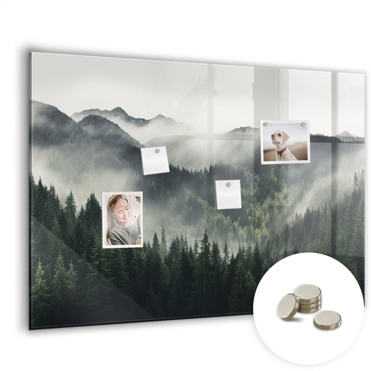 Coloray Glazen Magneetbord - Magnetisch Bord Limoenen - 100x70 cm - Zwart-wit Magneetbord - Magnetic Board - Wanddecoratie