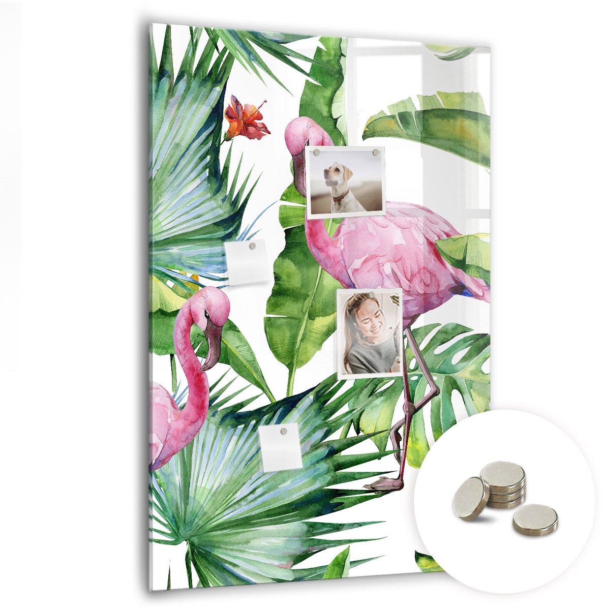 Coloray Glazen Magneetbord - Magnetisch Bord Honingraat - 70x100 cm - Roze Magneetbord - Magnetic Board - Keuken Decoratie