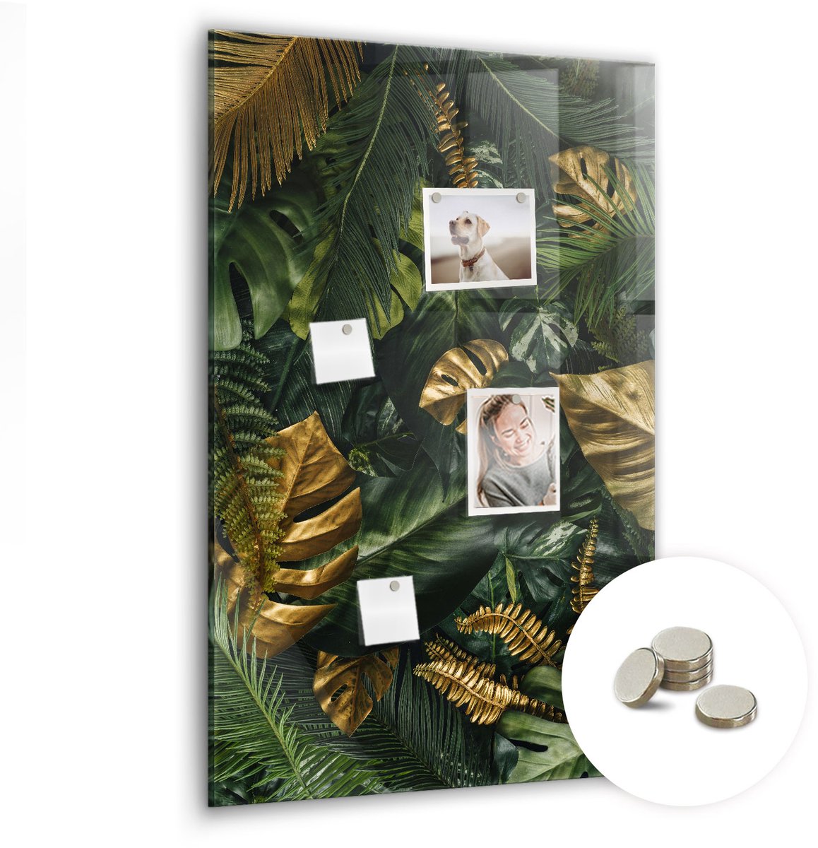 Coloray Glazen Magneetbord - Magnetisch Bord Retro poster - 60x90 cm - Groente Magneetbord - Magnetic Board - Bureau Decoratie