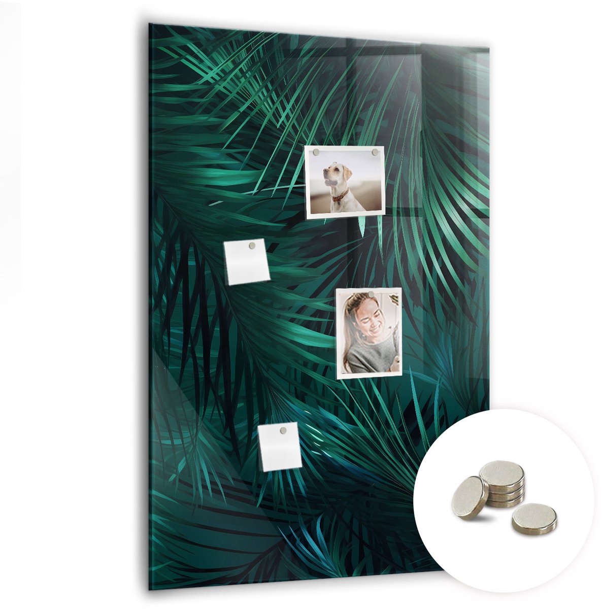 Coloray Glazen Magneetbord - Magnetisch Bord Specerijensamenstelling - 70x100 cm - Groente Magneetbord - Magnetic Board - Keuken Decoratie