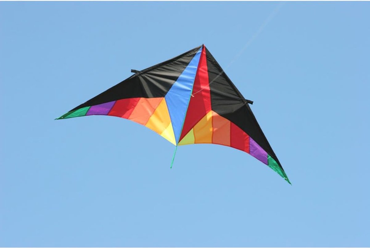 SnelShoppen - Delta XL Vlieger 2m voor Kinderen en Volwassenen, Stabiele Polyester Vlieger voor Weinig Wind, Compleet met Lijn op Haspel, Ideaal voor
