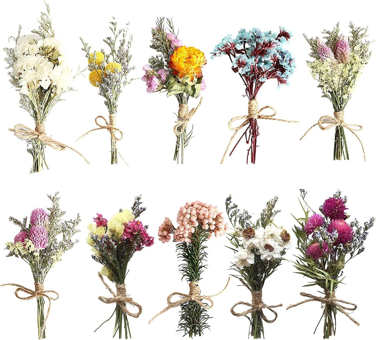 10 Bossen Natuurlijke Gedroogde Bloemen - Decoratieve Bloemen voor Huis, Tuin, Feest en Kantoor