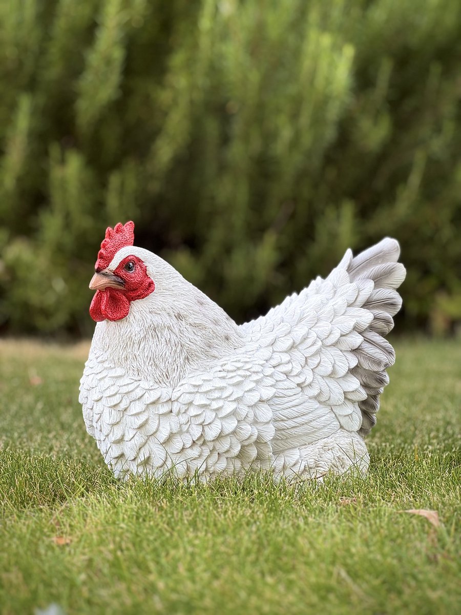 Kip liggend wit 21 cm hoog Bruin Ess - Boerderijdier - Decoratief beeld - Voor buiten - Tuindecoratie - Dierenbeeld - Vogel - Pasen - Schattig - Voor hem - Voor haar - Vaderdag - Moederdag - cadeau - Geschenk - Verjaardag - Nieuwjaar - Kerst