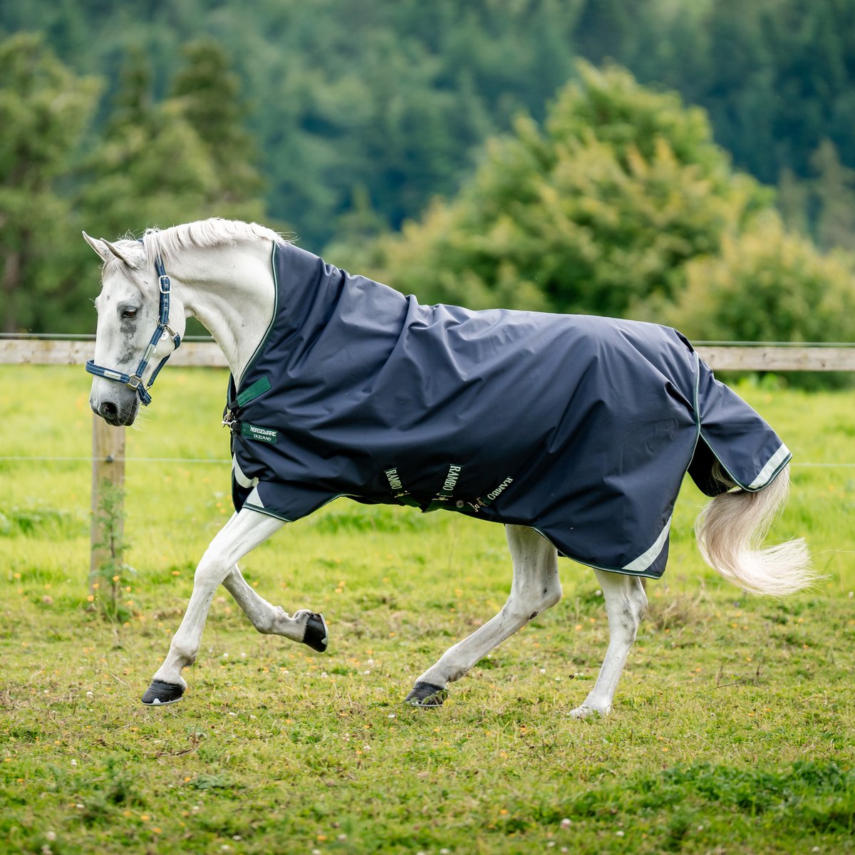 Rambo Wug Zware Weideken 400g Navy/Jachtgroen & Zilver 75_6'3"