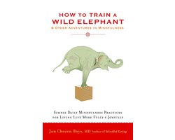 How To Train A Wild Elephant