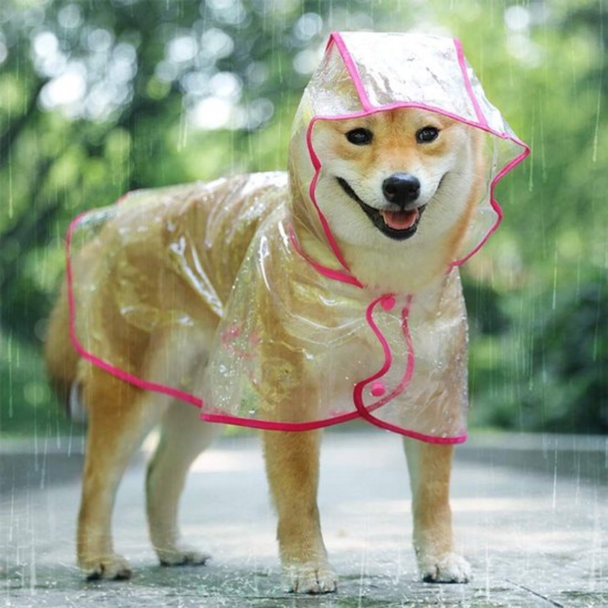 Allecto - Reflecterende poncho voor honden en katten - Waterdicht en ultralicht