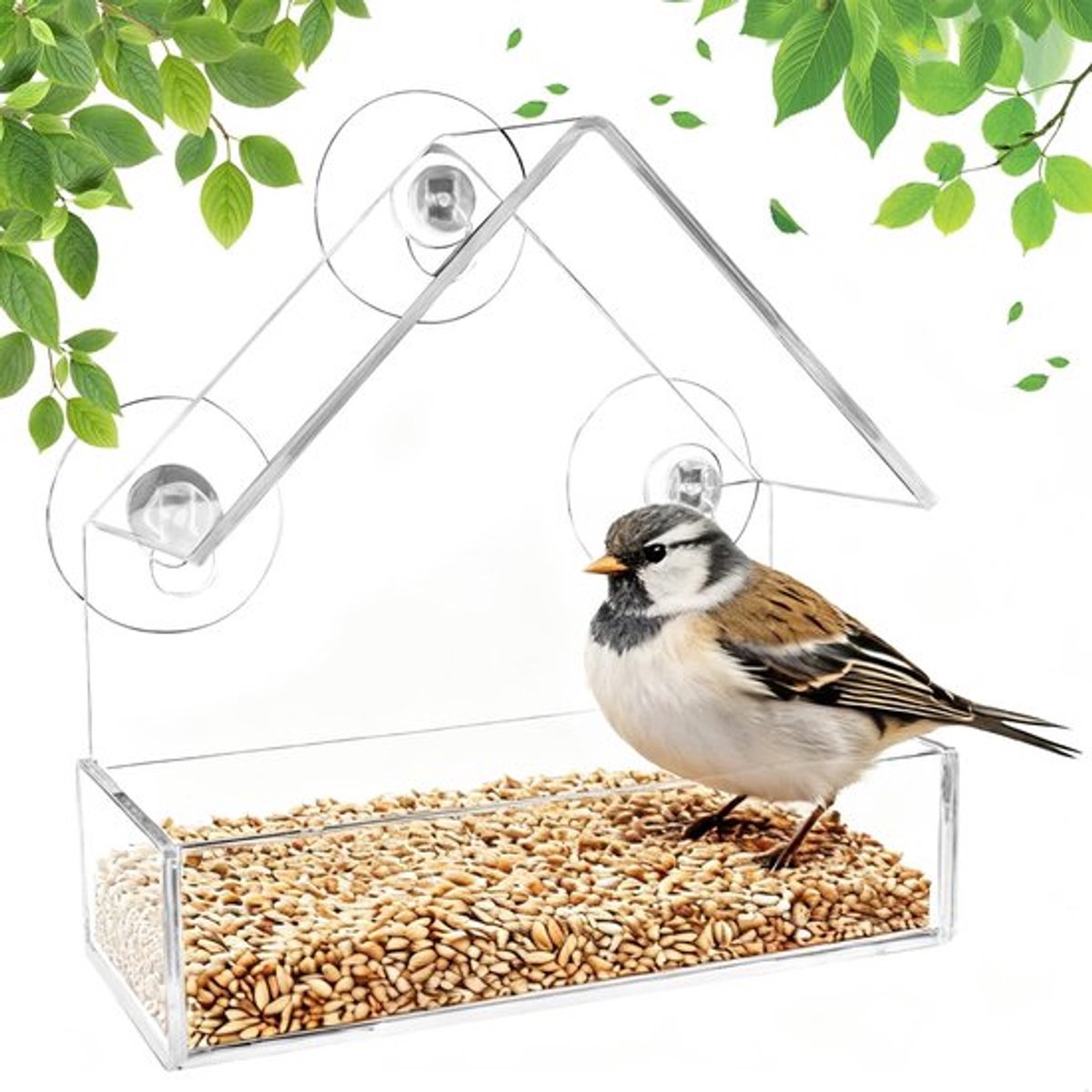 Allecto - Venster Vogelvoederdispenser - Transparant - Vogelhuisje met Zuignap