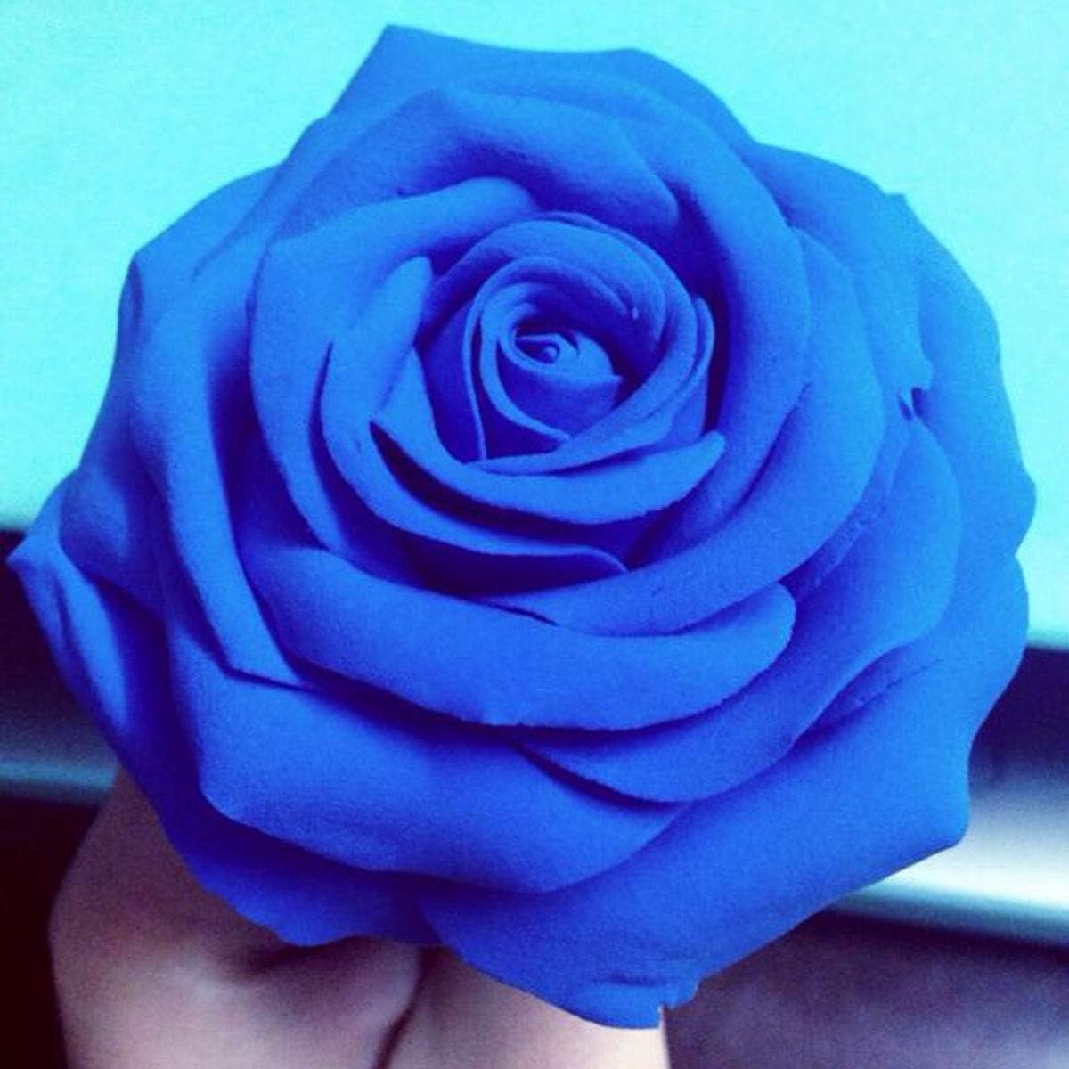 Solidchoice - Blauwe Modellerende Foam Klei voor Creatieve Projecten