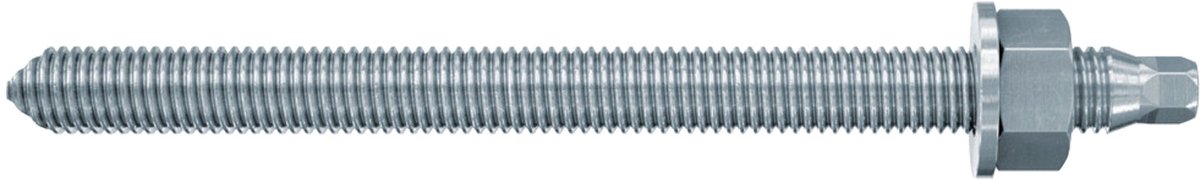 Fischer 10x Ankerstang RG M 10 x 250 mm galvanisch verzinkd staalkwaliteit 5.8 - 095703