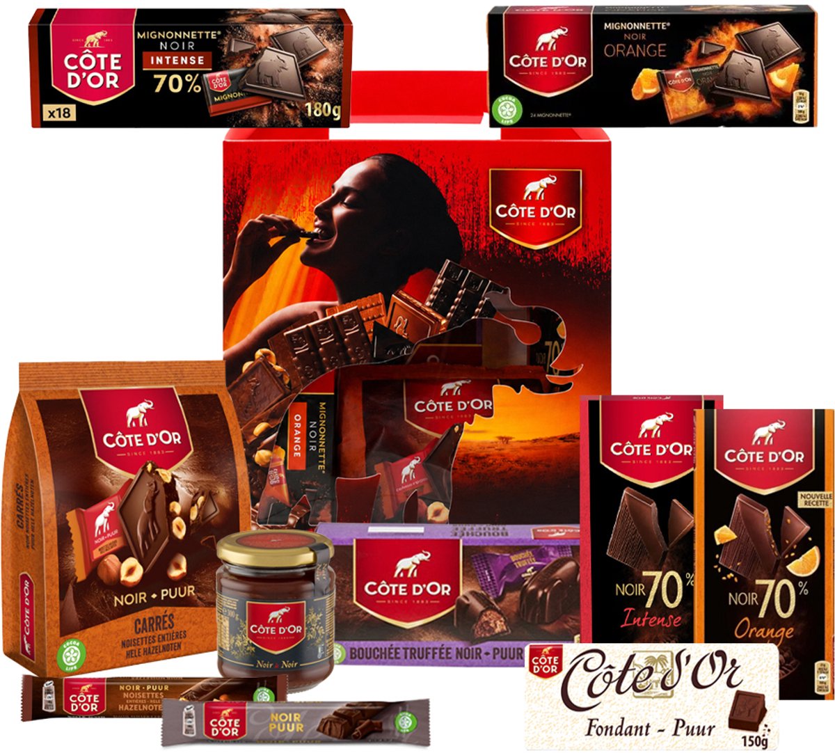 Côte d'Or chocolade giftbox 1518g - pure chocolade - mix van individueel verpakte chocolade - chocolade cadeau