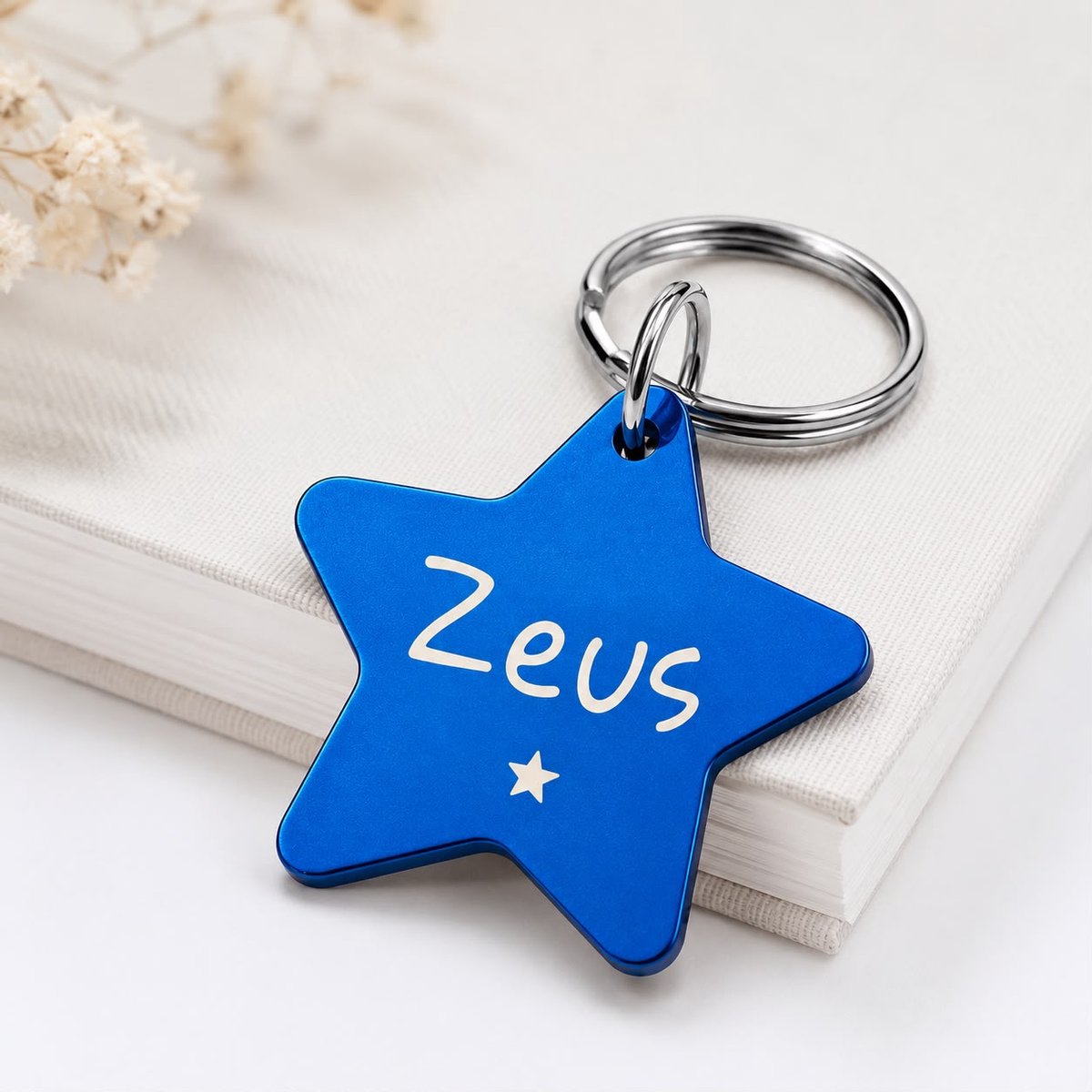 Luxe Ster Hondenpenning | Blauwe Ster Hondenpenning | RVS Ster | Huisdierpenning inclusief Graveren | Petshop Seven