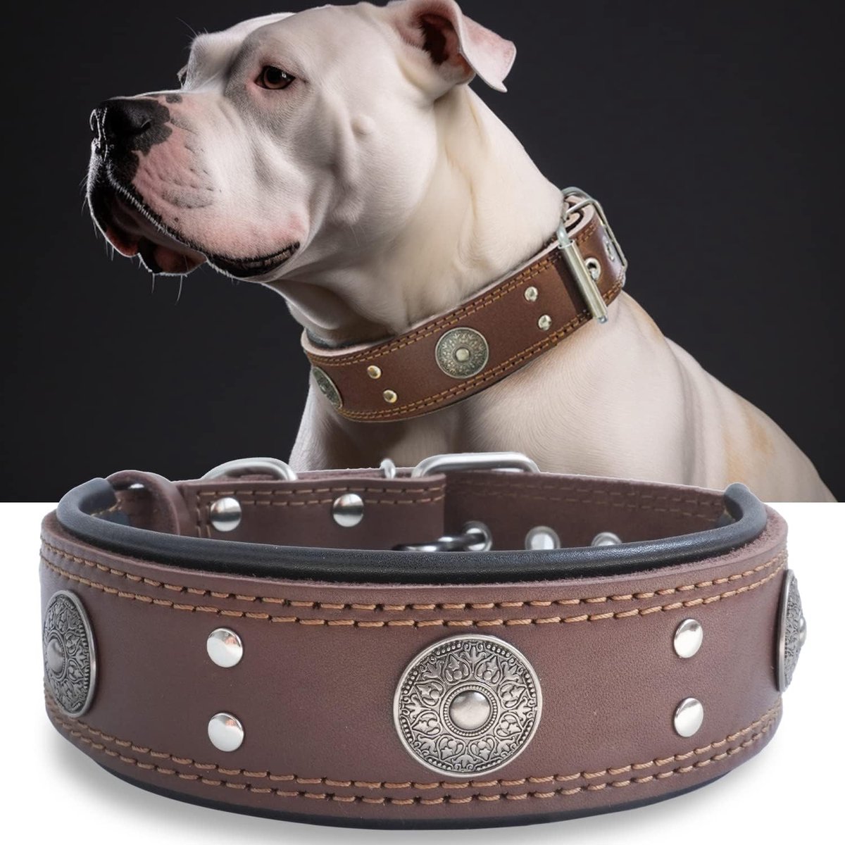 Dog Collar Leather, Sturdy Genuine Leather Collar 5 cm Wide, Handmade, Soft and Luxurious, Eye-Catching Top Choice for - ShopVlot