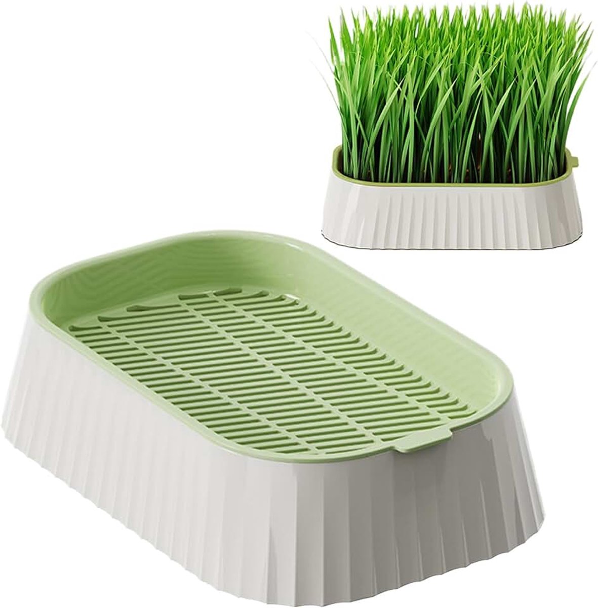 19 x 12,5 x 5 cm, compacte, antislip bodemschaal, kattengras-kweekset voor binnen en buiten, plantenbak voor het werkblad thuis, cadeau voor
