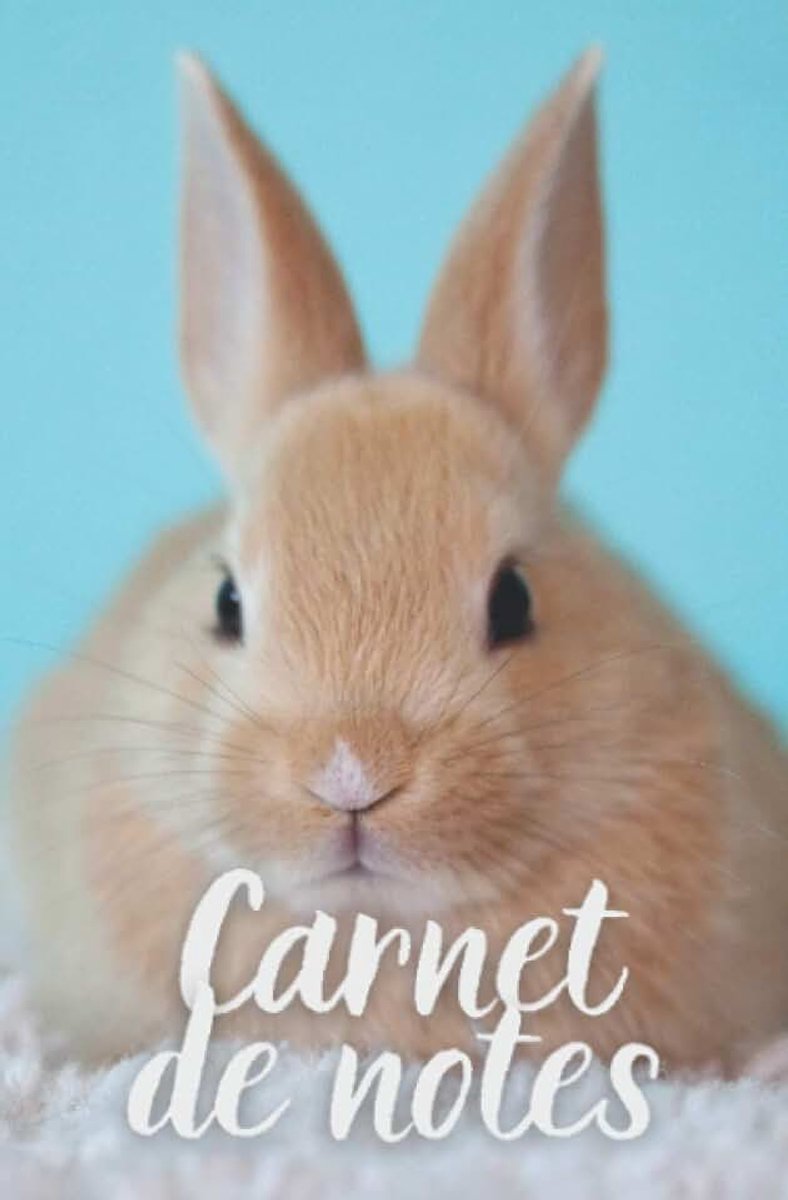 Carnet de notes: carnets de notes lapin mignon | 100 pages lignées | Format de poche 13,34 x 20,32cm | Pour les amoureux des animaux