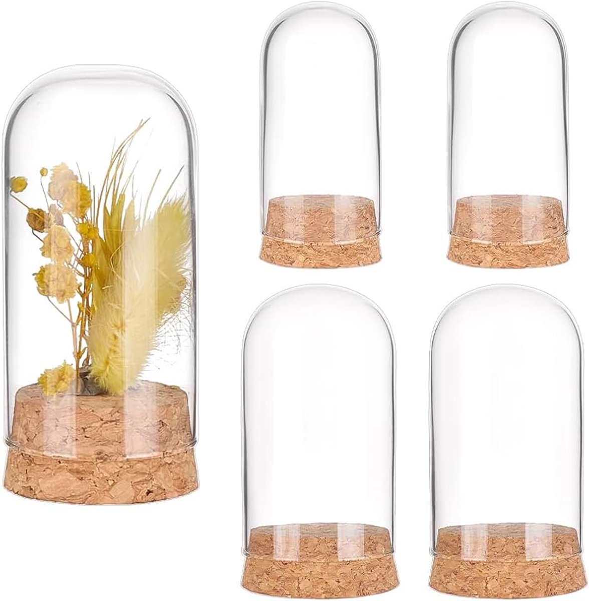 PandaHall 4 stks Glazen Display Dome 2 Maten Clear Cloche Bell Jar met Kurk Basis Kleine Glazen Flessen Dome Decoratie Potten Display Case voor Bloemen Planten Opslag Thuis Kerstfeest Gunst Decor