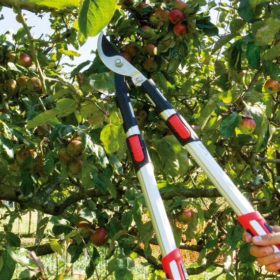 Telescopische snoeischaar - Voor het handmatig snoeien van takken en bladeren - Papegaaienbekvormig blad - Tuinschaar - 51-72 cm - Antislip handgreep - Geschikt voor het snoeien van takken van verschillende diktes - Rood — afbeelding 3
