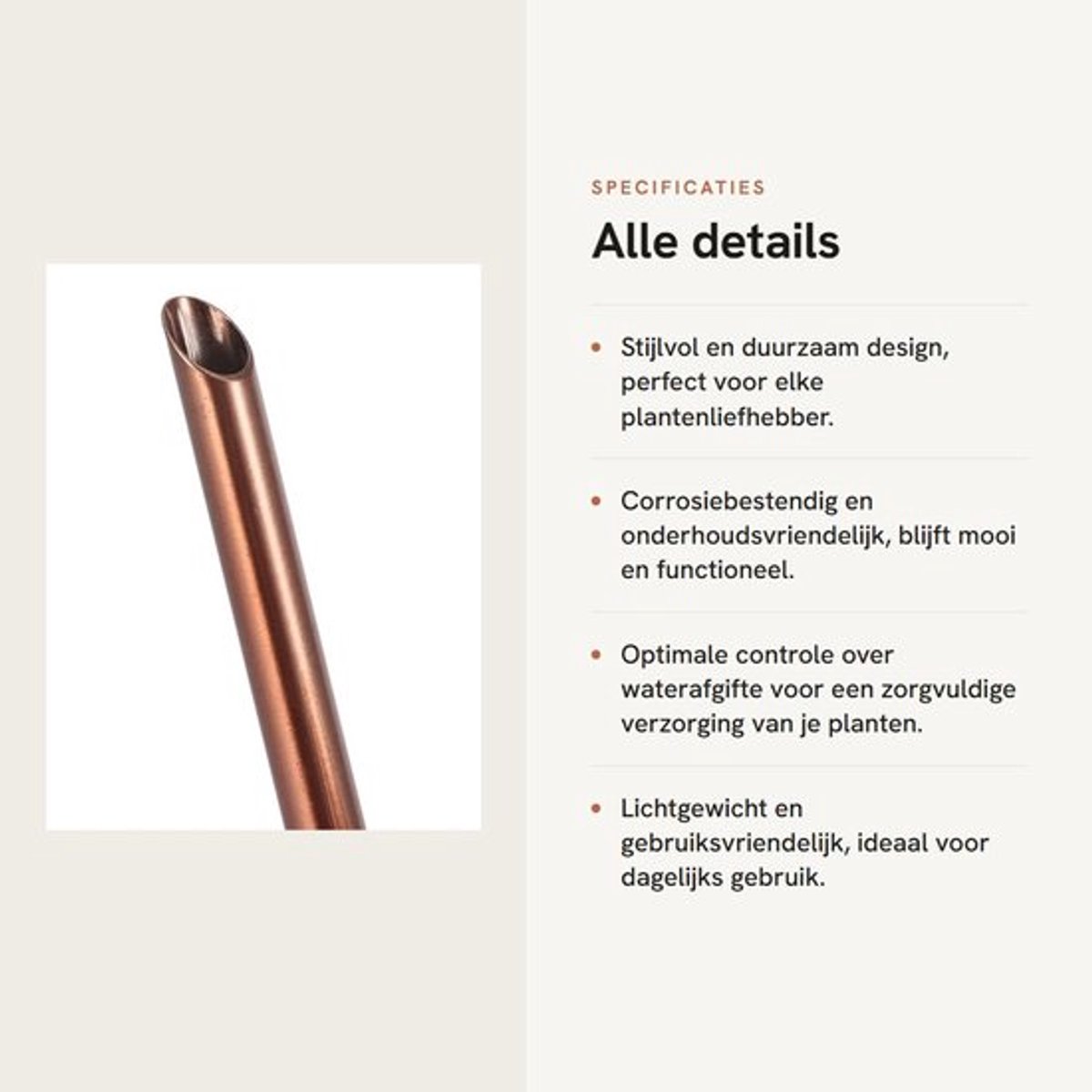 Gieter 400ml - Roestvrij Staal - Lang Mondstuk - Ergonomisch Handvat - Duurzaam - Voor Binnen Planten - Waterkan