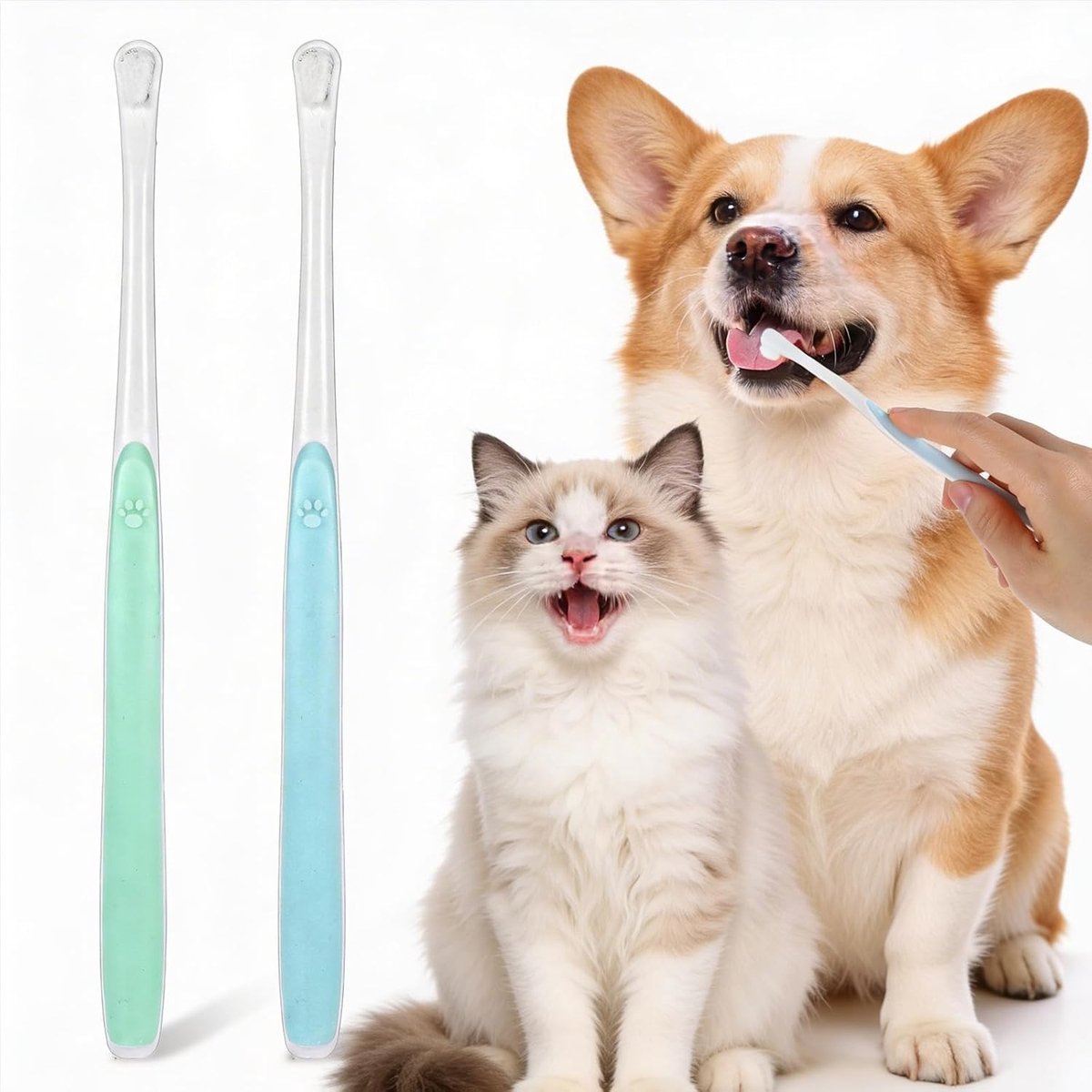 Hondentandenborstel zachte tandenborstel - mini-tandenborstel kat - herbruikbaar - optimale mondverzorging - SnelShoppen