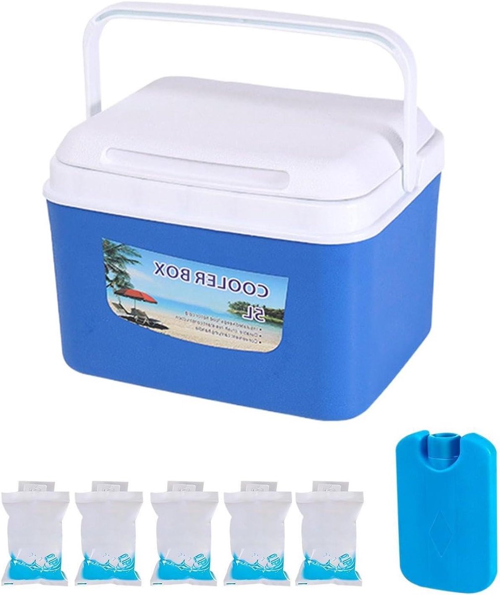 Koelbox - Draagbare box - Picknick en reizen - Lekvrije sluiting - 8 liter - Azijn