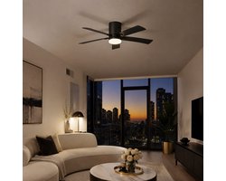 Plafondventilator met Licht Zwart 106 cm, Stil DC Motor, LED Dimbaar & Afstandsbediening