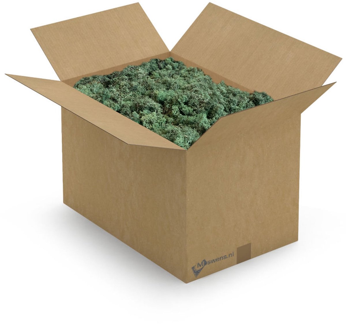 Moswens Eco Mos Forest - XXL - Doos Mos