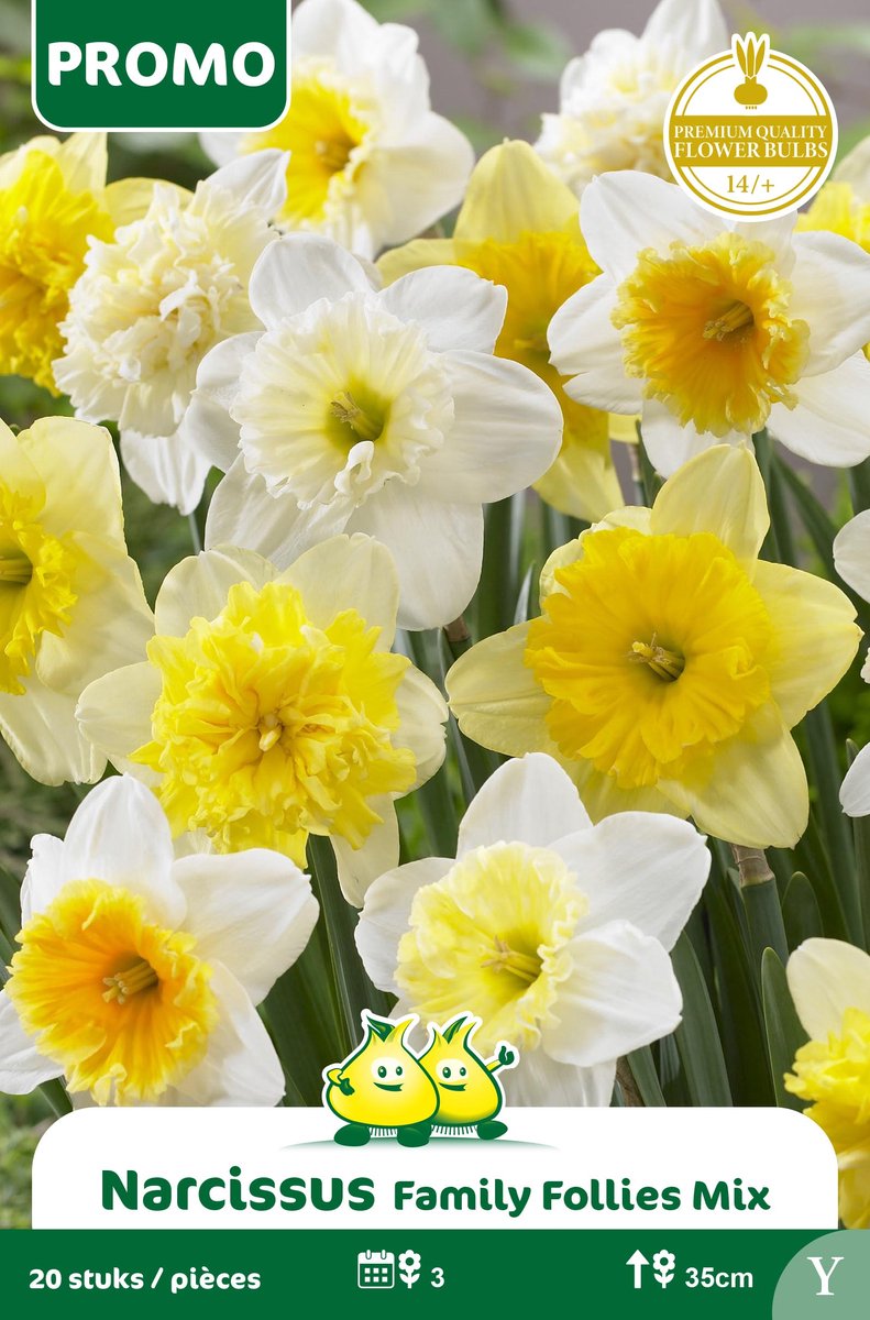 1 Zakje Promoverpakking Narcis Family Follies 20 stuks maat 14/+