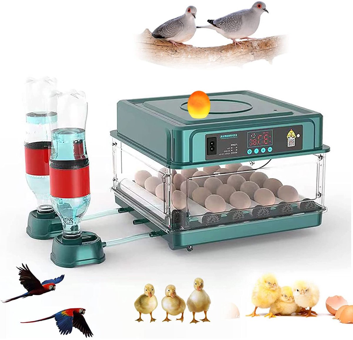 Automatische eierincubator voor 12 eieren met temperatuur- en vochtigheidscontrole, ideaal voor kippen en vogels