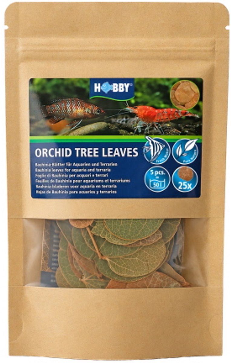 Hobby Orchid Tree Leaves – Natuurlijke Orchidee bladeren voor Garnalen, Betta's en Tropische Vissen – Waterverbeteraar & Schuilplaats