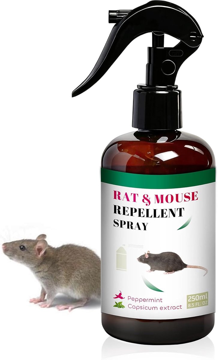 SnelShoppen - 250 ml Verfrissende Munt Spray - Ideaal voor Auto, Thuis, Tuin en Kabels - Fris Geur, Voor Binnen en Buiten, Gebruiksvriendelijk