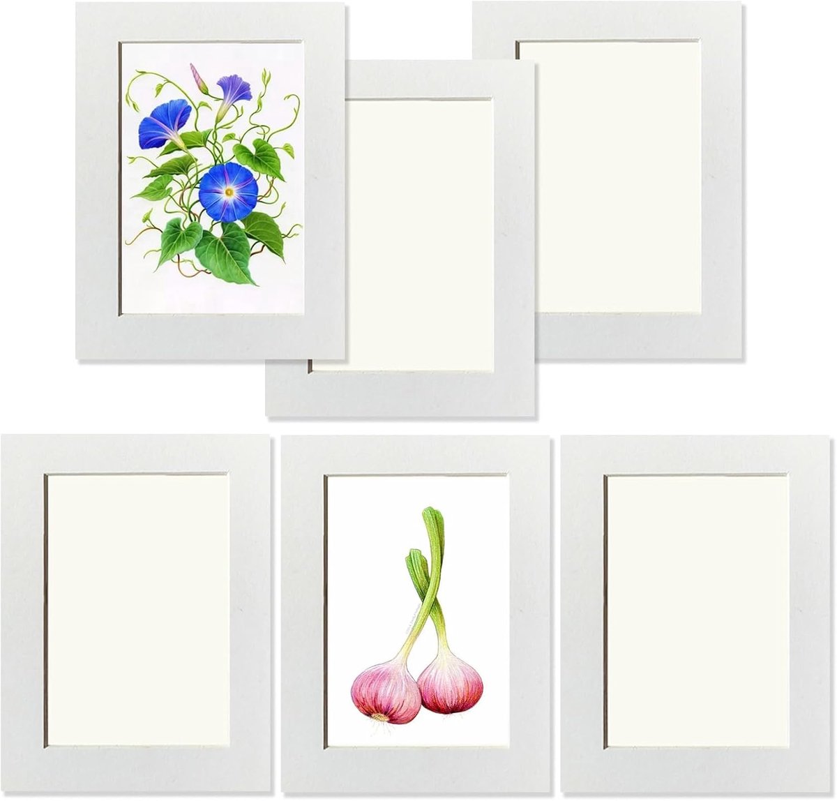 SnelShoppen - 6 x 20 cm Zelfklevende Collage Fotolijsten Set van 6, Muurdecoratie voor Foto's, Galerie Decor voor Thuis en Kantoor