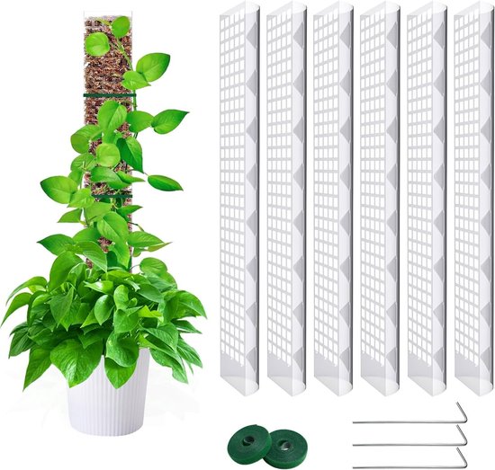 Moss Pole voor Klimplanten 61 cm - Versterk je Monstera en andere Binnenplanten met een Transparante en Uitschuifbare Steunstok