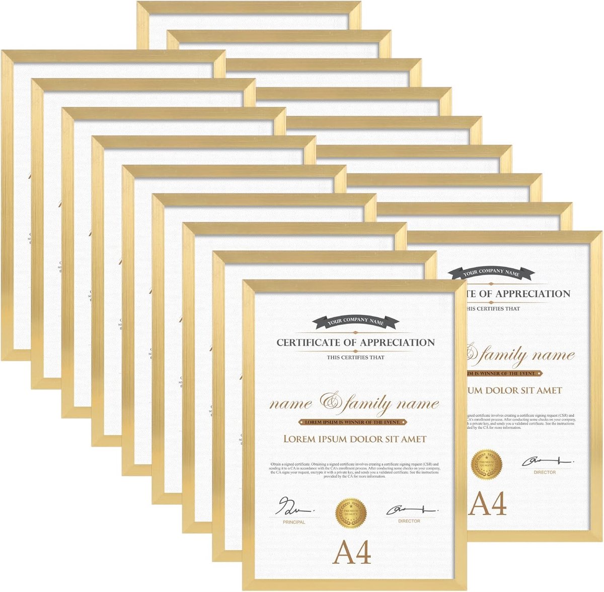SnelShoppen - Set van 18 Gouden A4 Fotolijsten - Luxe Documenten, Diploma's, Schilderijen - Hoogwaardige PVC - Modern Design - Perfect voor Thuis en K