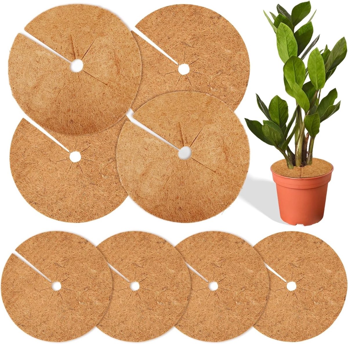 Set van 8 Kokosmatten voor Winterbescherming - 20 cm en 30 cm - Plantbescherming, Kokosmulch en Tuinaccessoires - Dikte 0,5 - 0,8 cm
