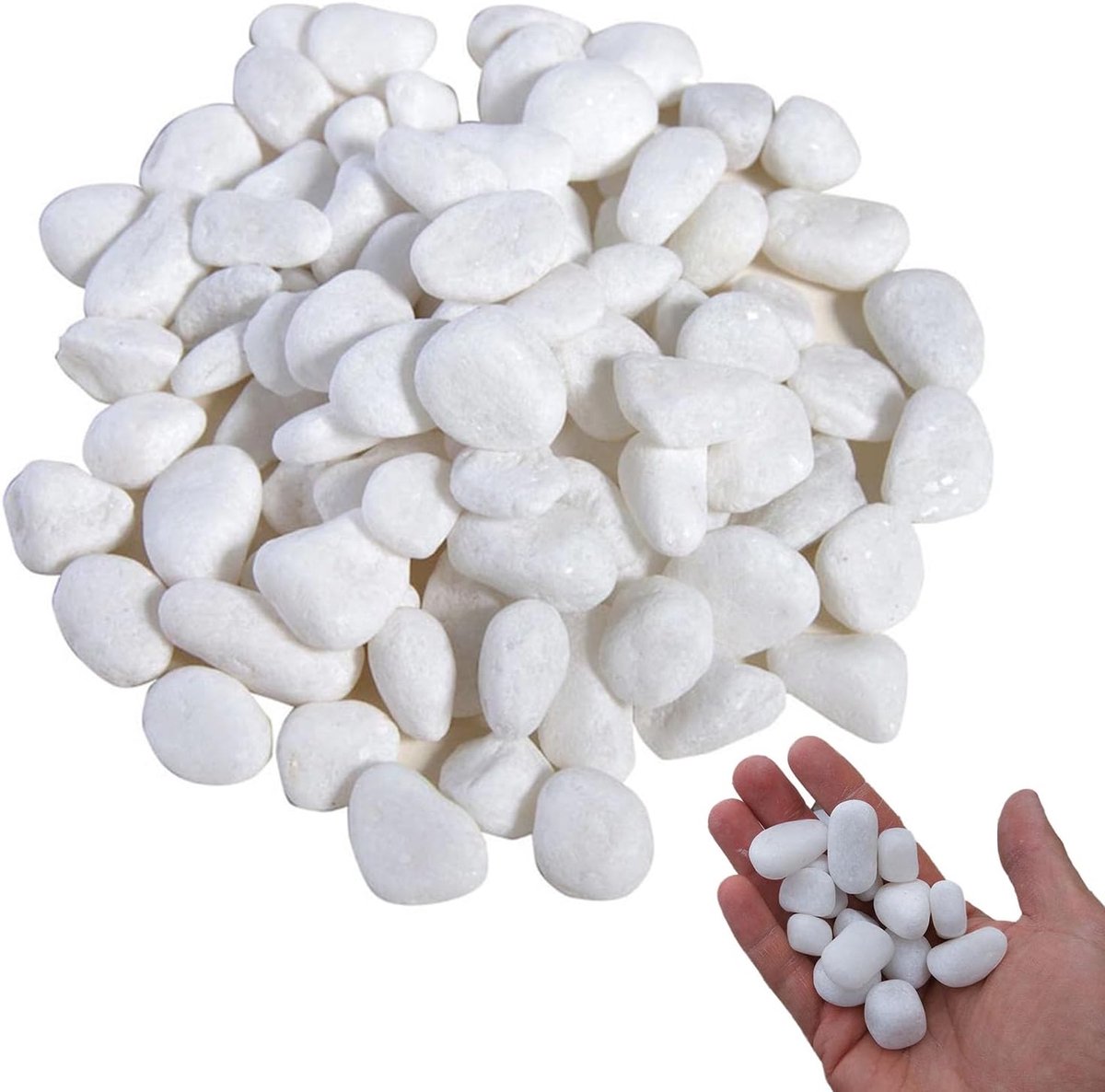 SnelShoppen - 1kg Witte Tuinstenen 2-4 cm - Gepolijste Decoratieve Kiezels voor Planten, Aquariums, Vazen, Tuin en Landschapsdecoratie