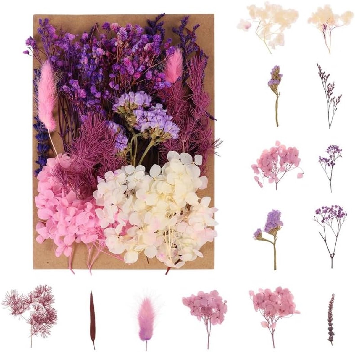 SnelShoppen - Natuurlijke Gedroogde Bloemen Boeket - Echte Geperste Bloemen Decoratie voor DIY Epoxy Resin, Sieraden, Nagelkunst, Kaarsen, Scrapbookin
